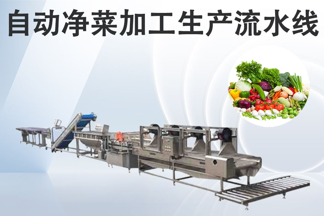 淨菜午夜久久久久久久流水線